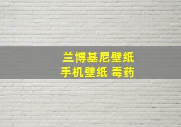 兰博基尼壁纸手机壁纸 毒药